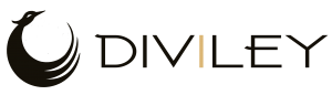 divileylogo-300x86